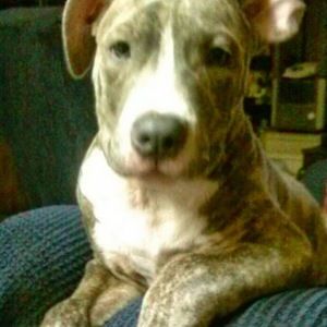 Meet your Posher, Autumn